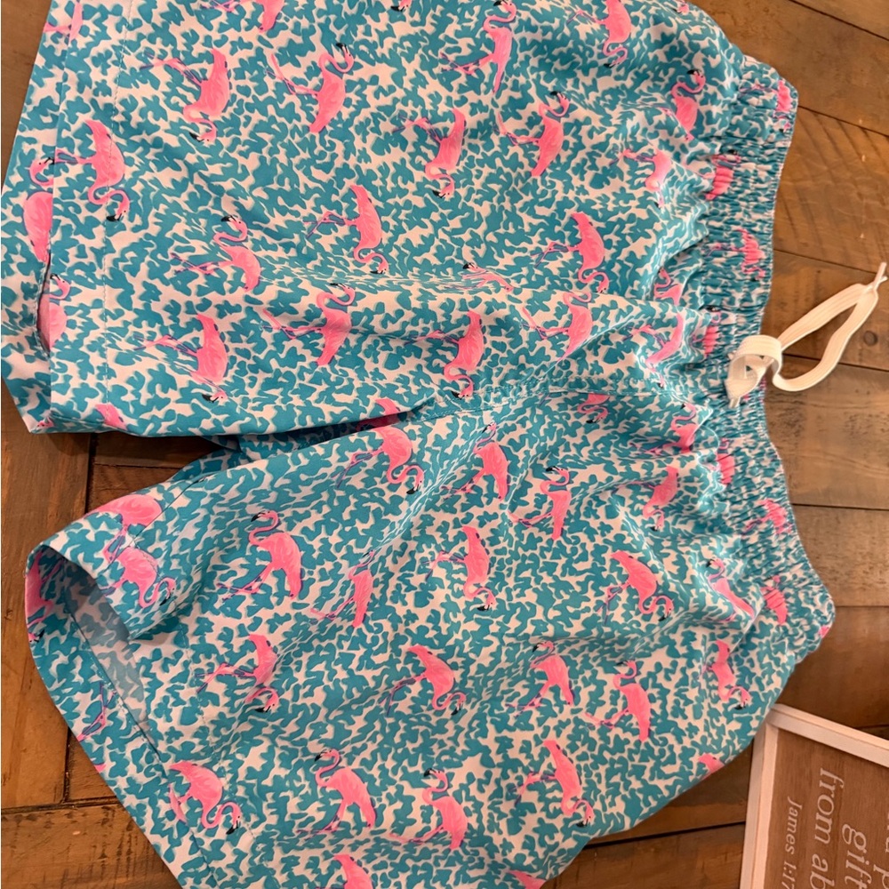Chubbies Blue and Pink Patterned Men Shorts